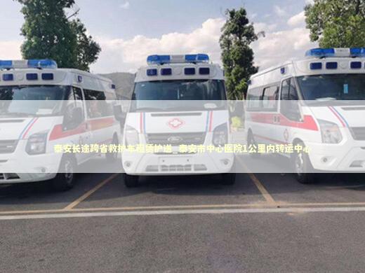 泰安长途跨省救护车租赁护送_泰安市中心医院1公里内转运中心