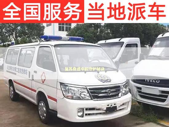 复苏奇迹中的守护秘诀